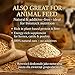 GiDeli Haferflocken 5 kg - natürliche zart Futterhaferflocken - ohne Zusätze & neutral im Geschmack - für Porridge, Müsli & Backen - auch Geeignet als Tierfutter