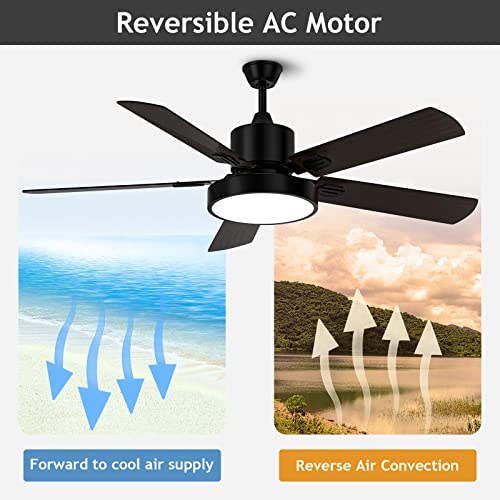 Clugoj Ceiling Fan With Light, Outdoor Black Ceiling Fan With Remote, 52-Inch Black Ceiling Fan With 5 Reversible Walnut/Black Blades For Patio Farmhouse Bedroom, Matte Black #TOP2