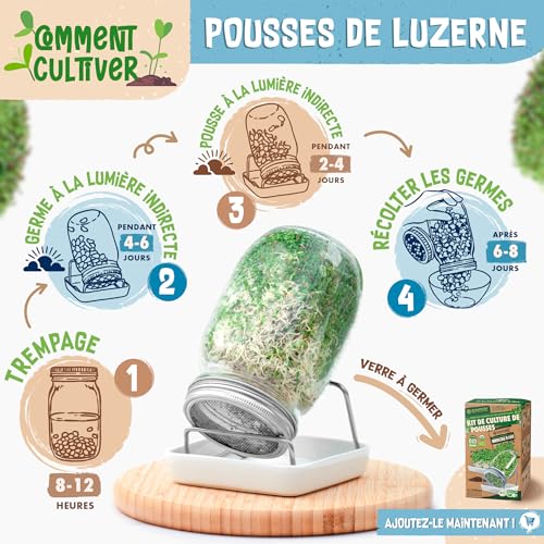 Graines de alfalfa microgreens bio luzerne à germer sachet 500g - 7