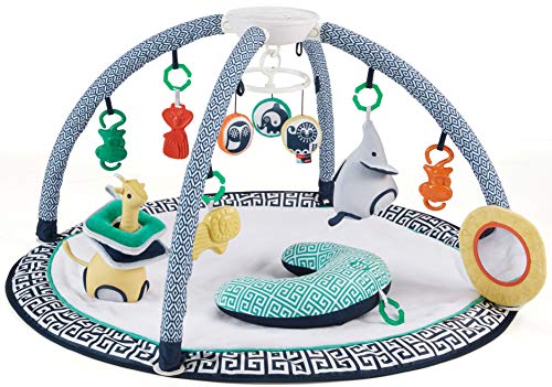 fisher price sensory gym