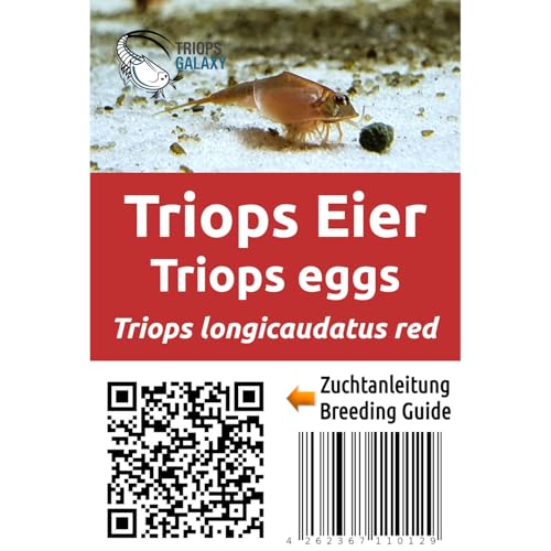 Kit élevage de triops longicaudatus : le cadeau scientifique idéal