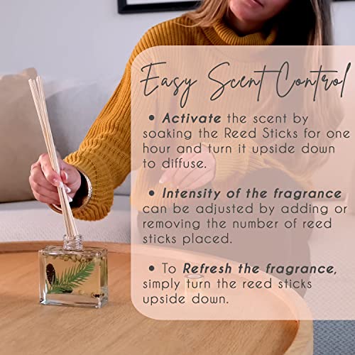 Gayo Reed Diffuser Set Of 2 - Holiday Scents, Made With Natural Extracts, Free From Alcohol & Parabens, Home Fragrance Set With Aromatherapy Essential Oils, – Great For Gift-Giving #TOP3