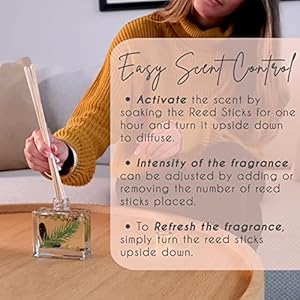 Gayo Reed Diffuser Set of 2 - Holiday Scents, Made with Natural Extracts, Free from Alcohol & Parabens, Home Fragrance Set with Aromatherapy Essential Oils, – Great for Gift-Giving Gayo Reed Diffuser Set of 2 Holiday Scents Made with Natural Extracts Free from Alcohol Parabens Home Fragrance Set with Aromatherapy Essential Oils–Great for Gift Giving