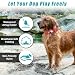 Boloshine AirTag Hundehalsband, Verstellbares Reflektierend Halsband Hund, Integriertes Apple Air Tag Hundehalsband Weich Gepolstertes für Große Mittelgroße Kleine Hunde (Rot, S)