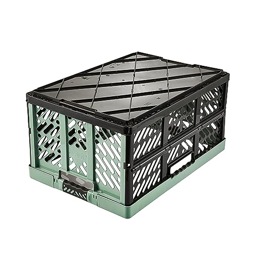 keeeper Stabile Profi-Klappbox mit Soft-Touch Griffen, 54 x 37 x 28 cm, 45 l, Ben, Nordic Green