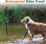 PetBonus Une laisse pour chien imperméable, 5 FT Lead d'entraînement de marche Odor Proof, pas d'angle et facile à nettoyer les laisses pour petits chiens de races moyennes (Noir)