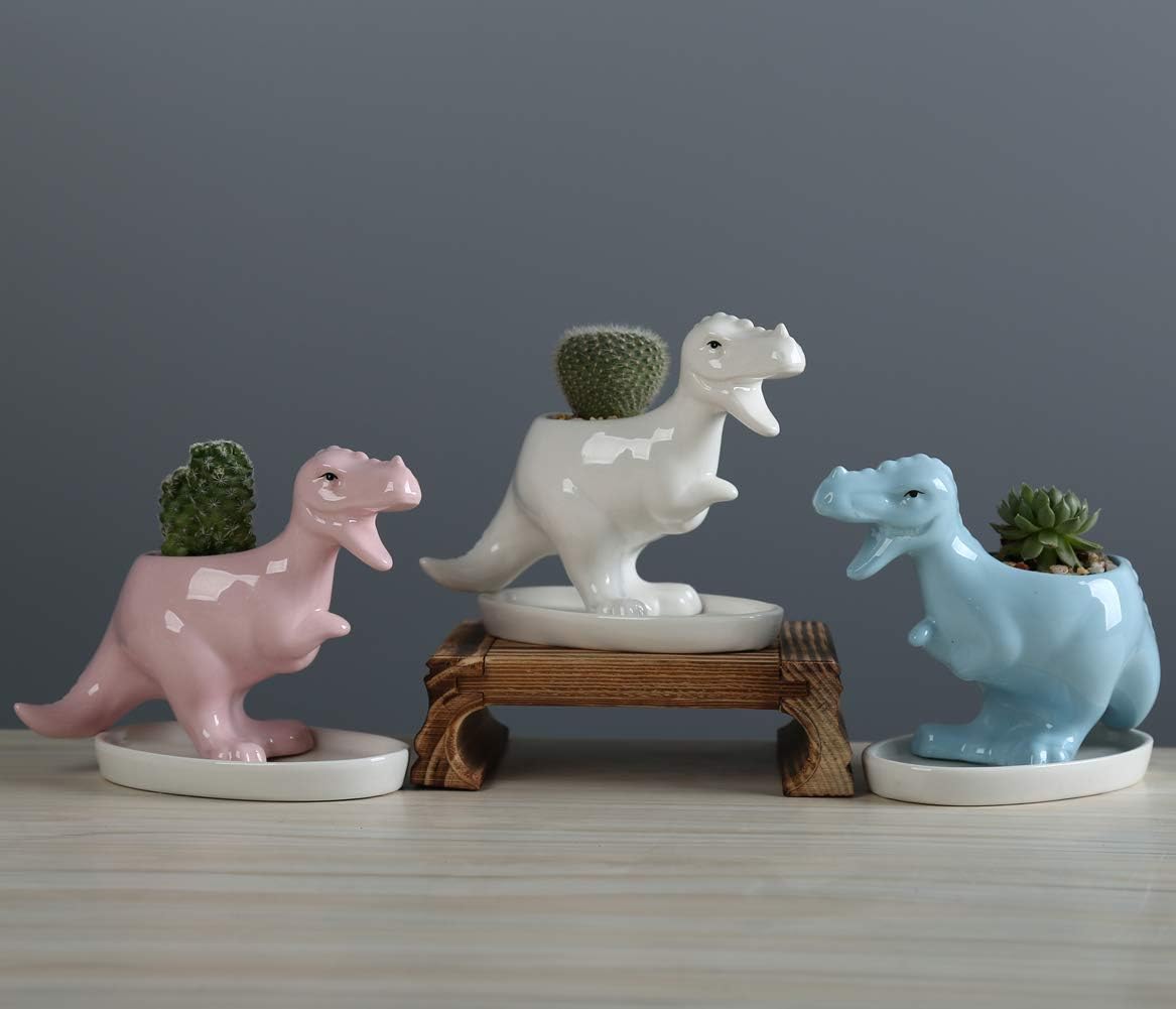 Miaowoof Dinosaur Shape Ceramic Succulent Planter Pot with Drainage Tray Multipurpose Bonsai Plant Vase Creative Cactus Flower Pot with Drain Hole - Home Office Garden Decoration