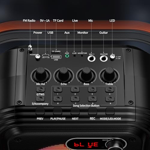 JYX Karaoke Machine with 2 Wireless Microphones, RGB Light PA System with Treble/Bass, Bluetooth Speaker Supports Live Broadcast/Monitoring/Sound Effects, Suitable for Adults/Kids, 66PRO
