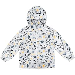 White/Dinosaur Fossil