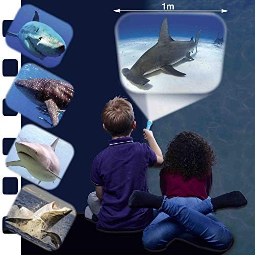 Brainstorm Toys Shark Torch & Projector