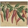 Wall Border Red Green Brown Hot Peppers on Vine Olive Grey Wallpaper Border Retro Design Prepasted Roll 15 ft x 7 in