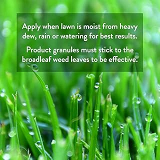 GreenView Weed & Feed - 39 lb. Bag - Covers 15,000 sq. ft.