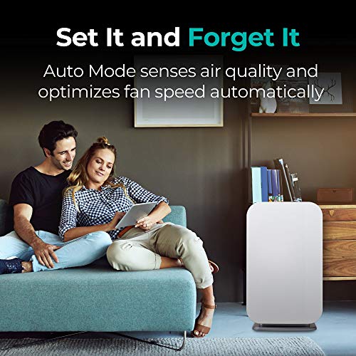 Alen 45I Air Purifier, Quiet Air Flow For Large Rooms, 800 Sqft, Air Cleaner For Allergens, Dust, Mold, Pet Odors With Long Filter Life #TOP7