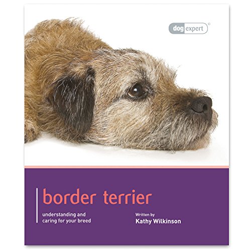 Border Terrier - Dog Expert