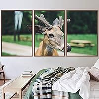 3 Piece Framed Canvas Wall Art Spiritual Animals Deer Canvas Prints Home Artwork Decoration for Living Room,Bedroom - 16