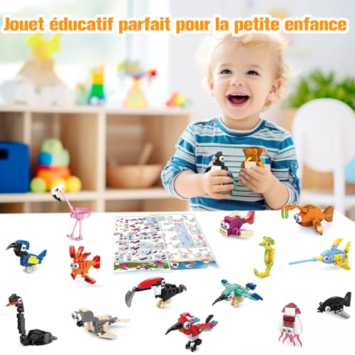 Photo complémentaire
