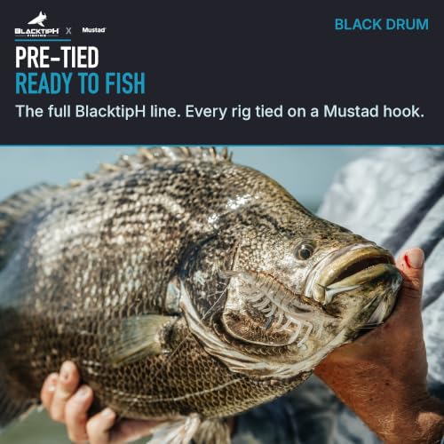 Mustad BlacktipH Multi-Hook Surf Rig Dos Anzuelos Circle 4/0 30 lb Fluoro miniatura 3