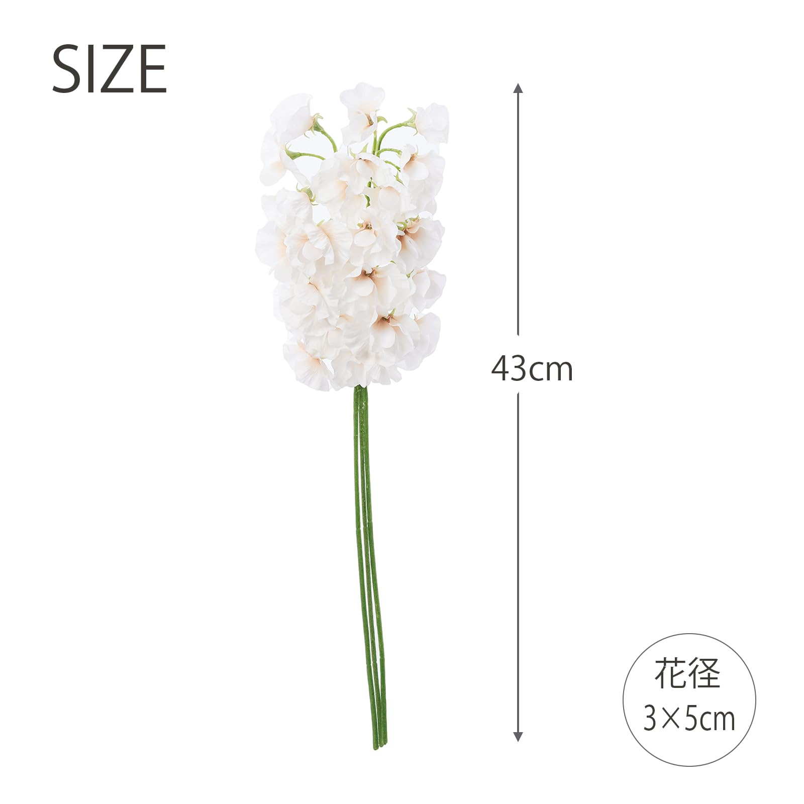 Amazon｜アスカ商会(Asca) 造花 スイトピーバンチ アイボリー