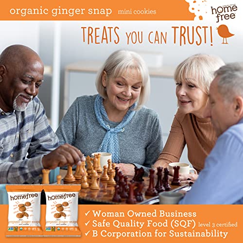 Homefree Mini Ginger Snap Cookies, Organic, Gluten Free, Nut Free, Vegan, Individually Wrapped Packs, School Safe And Allergy Friendly Snack, 0.95 Oz. (Pack Of 10) #TOP6