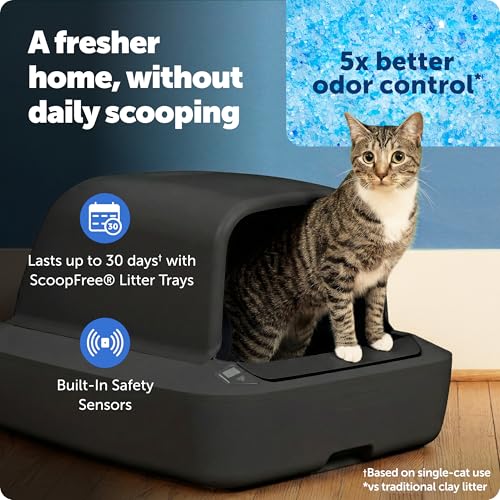 PetSafe ScoopFree Crystal Pro Self-Cleaning Litter Box, Black - image 2