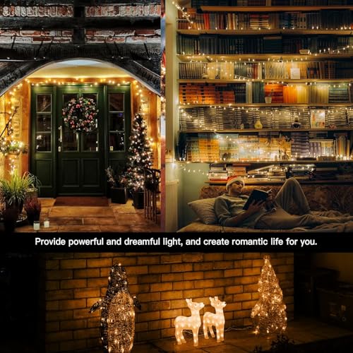 Image of XERGY LED String Ladi Lights- Decorative Fairy Lights for Indoor & Outdoor Use - Ideal for Diwali, Christmas, Parties, Garden & Home Decor-Warm White (Pack of 5 - 11M Each)