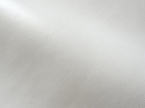 撮影など背景紙　新品未使用 楽天市場】スペシャリティーズ No.210 24kg 790×1090mm 5枚|写真