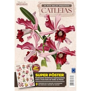 Capa do livro Pôster Mestre das Orquídeas - As Mais Belas Orquídeas - Catleias