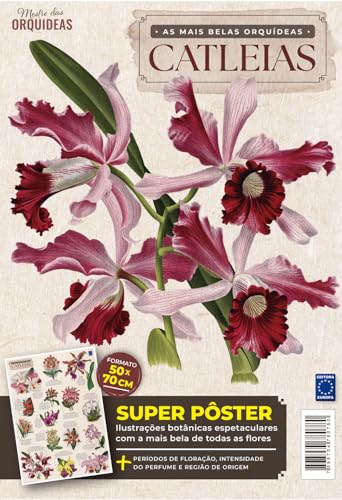 Pôster Mestre das Orquídeas - As Mais Belas Orquídeas - Catleias