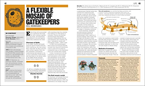 The Biology Book: Big Ideas Simply Explained (DK Big Ideas) - Image 2