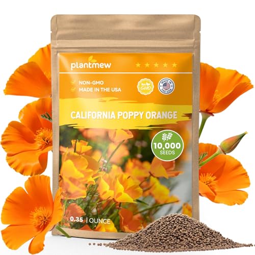 Orange California Poppy Seeds for Planting - Bulk 0.35 Ounce Packet - Over 10,000 Native Seeds - California State Flower