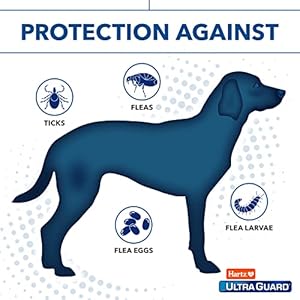 Hartz UltraGuard Pro Reflective Flea & Tick Collar for Dogs and Puppies, 7 Month Flea and Tick Prevention Per Collar, 1 Count Hartz UltraGuard Pro Reflective Flea Tick Collar for Dogs and Puppies 7 Month Flea and Tick Prevention Per Collar 1 Count