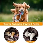 7 Pack Dog Toys for Teething, Entertainment, Puppy Chew Toys Pack with Cute Squeaky Toys,Durable Ropes Chew Toys - Image 6