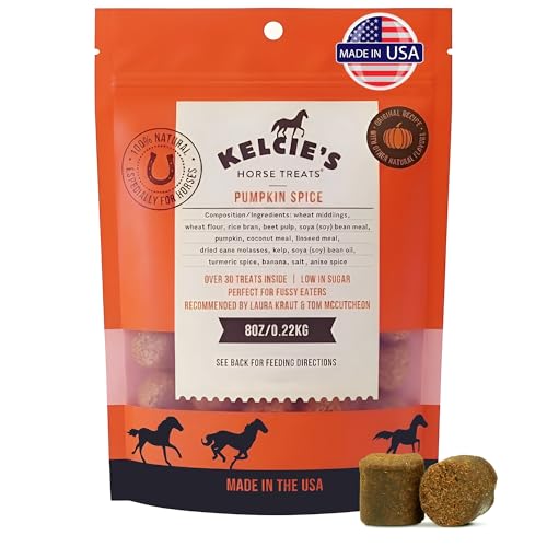 Kelcies Pumpkin Spice Horses Treats - Low Sugar, Starch, and Carbohydrates | Healthy Treats for Horse Supports Superior Digestion 8 Ounce (1 Pack)
