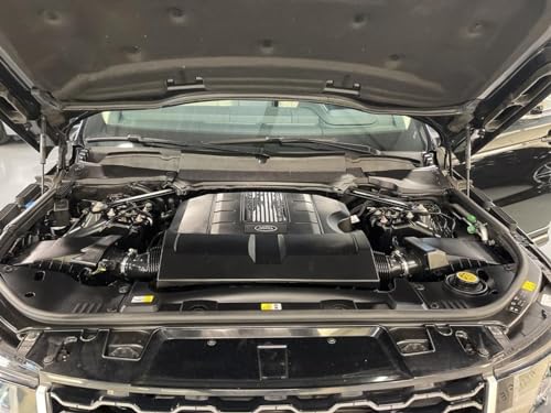 Vérins de coffre BYD Dolphin tige support de levage hayon défectueux - 2