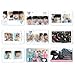 Seventeen - Transparent Photo Cards 25pcs [Fan Goods]