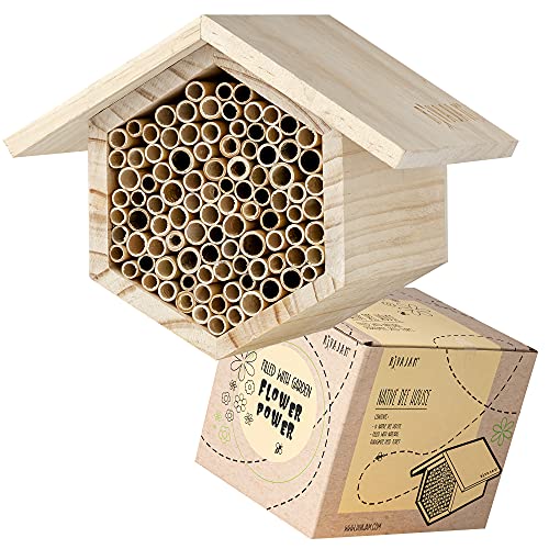 Phragmite Reed Wax Coated Mason Bee House Plus 125 Piece Refill Pack of Phragmite Reeds