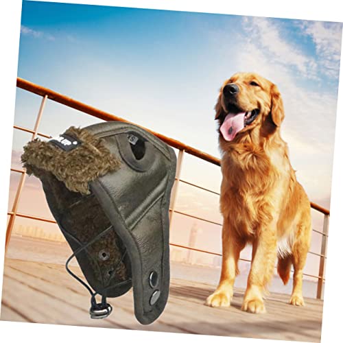 Disfraz creativo para perro talla XXL color negro miniatura 6