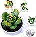 Succulent Candles Cactus Candle Tealight,Christmas Gift,Housewarming Favors for Guests,Party Favors for Bridal Shower,Baby Shower,Home Decors (6 Pcs in Gift Box)