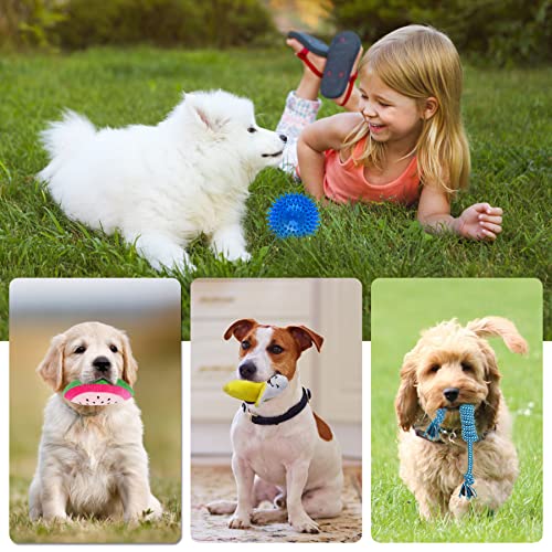 KIPRITII-18-Pack-Super-Value-Puppy-Toys-Puppy-Teething-Chew-Toys-with-Rope-Toys-Dog-Bite-Toys-and-More-Squeaky-Toys-for-Small-Dogs