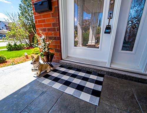 Outdoor Porch Rug - Checkered Door Mat for Layering, Black and White Rug