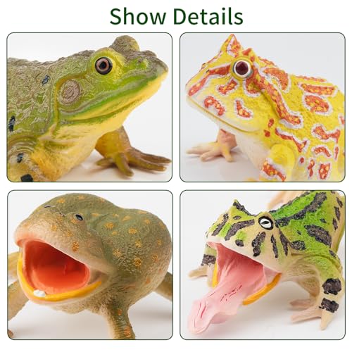 Toymany Frog Toy Figures, Plastic Rainforest Woodland Animals Toy Frogs Set with Realistic Poison Dart Frog, Cake Topper Party Favor Garden Flowerpot Plants Decor