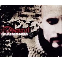 Rosenrot - 2nd
