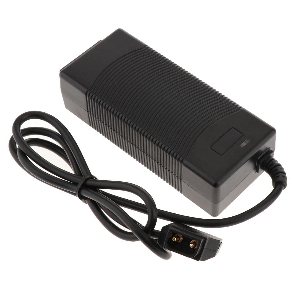 Adaptador,8 V para Cámara NP/AN/BP/PK, Paquete de Baterías, Acoplador de, Kit de Aesorios de Fotografía Universal