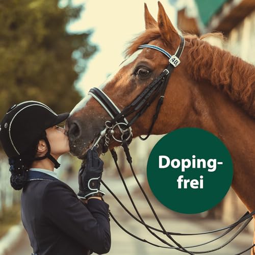 Equisept Wundpflegespray 250ml - Wundschutz für Pferde - Reinigung & Pflege - Blauspray Silberspray Pferd - Von Tierärzten empfohlen - Dopingfrei