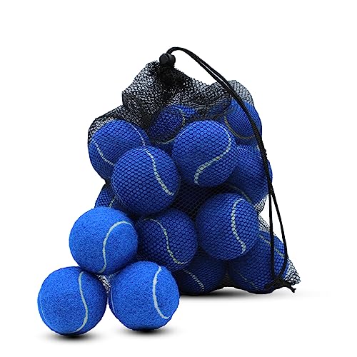 Swingers 20 Pack Tennis Balls Training Exercise Balls for Pet Dog High Elasticity Practice Tennis Balls for Beginner with Mesh Carry Bag Easy to Transport (Dark Blue)