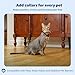 PetSafe Pawz Away Indoor/Outdoor Extra Receiver Collar for Cats and Dogs for Wireless Pet Barrier System