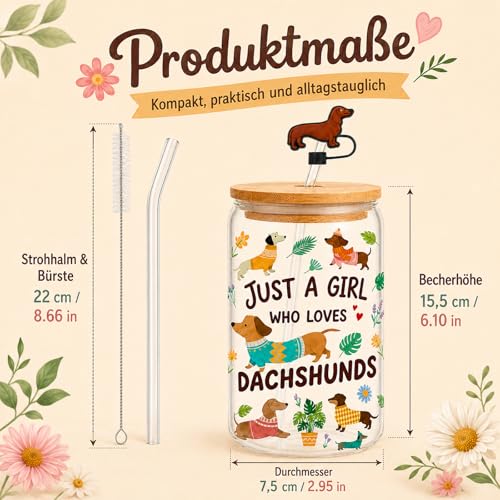 Vaso de perro salchicha hermético con doble pared aislante 3