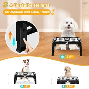 Elevated dog bowls for small medium dogs 3 height adjustable raised dog bowl stand with 2 thick 6 stainless steel dog food bowls non slip dog feeder adjusts to 2 75 6 7 5 black   cucciolini doodles