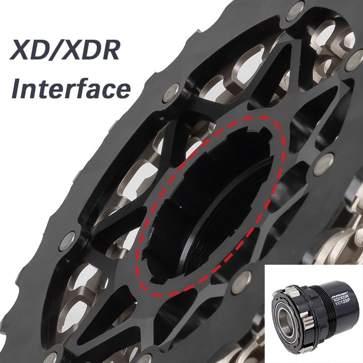 Amazon.com : DJC Road Bike Cassette Freewheel XD/XDR Ultralight 12