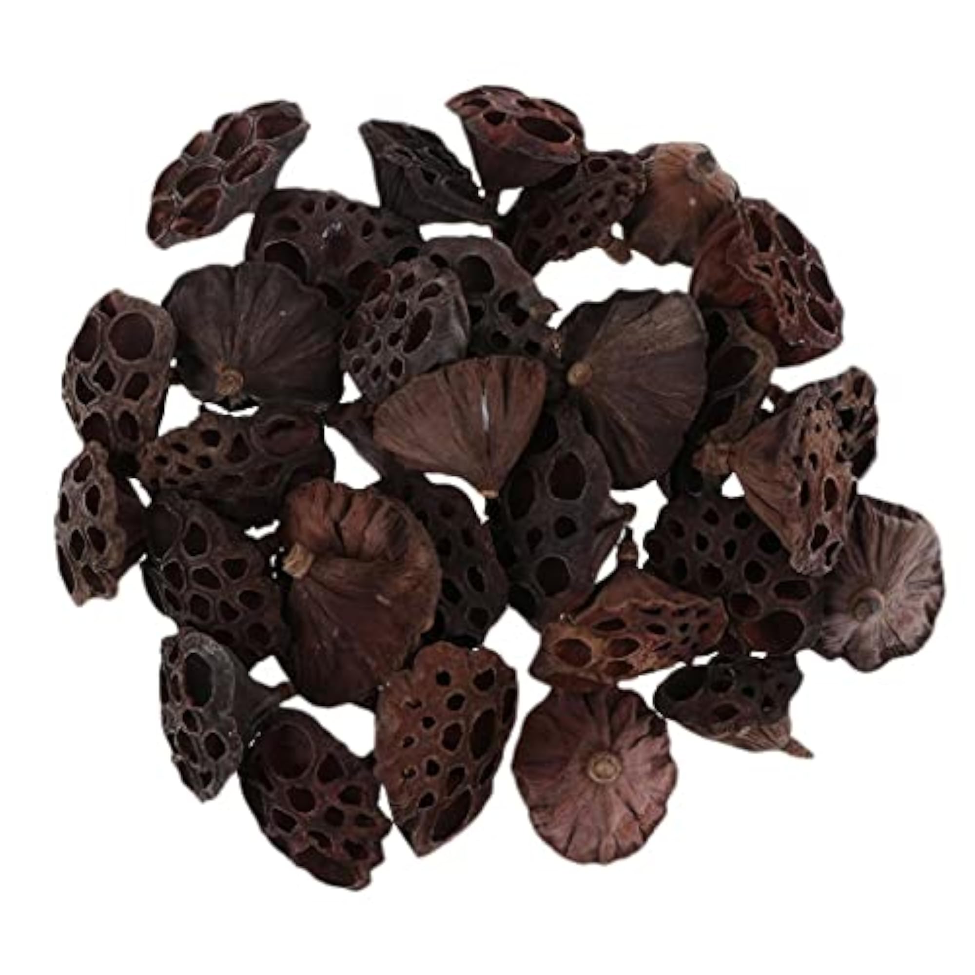 Natural Dried Lotus Flowers, 150PCS for Crafts